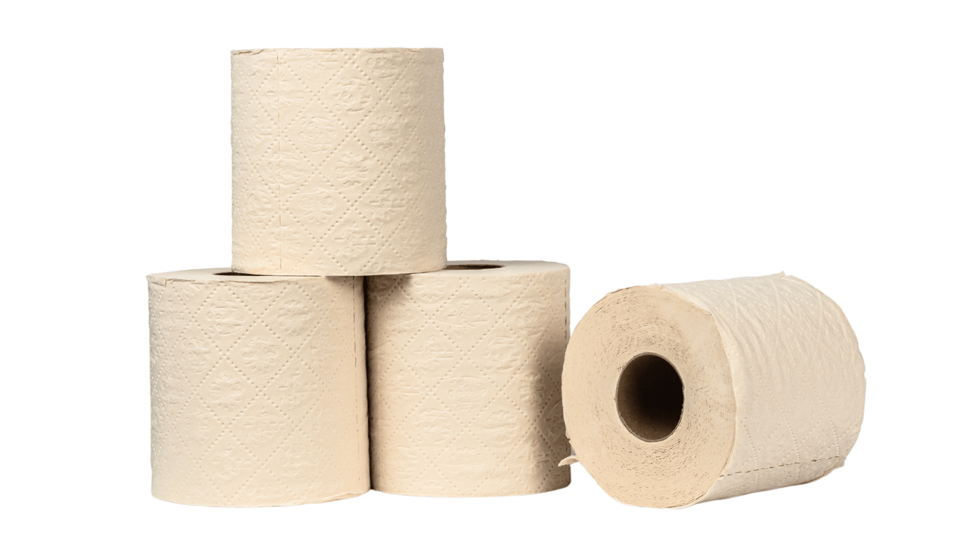 Bamboe Toilet Paper 3 - ply, 200 sheets (4 Rolls = 8 Rolls) - Babo Bambo