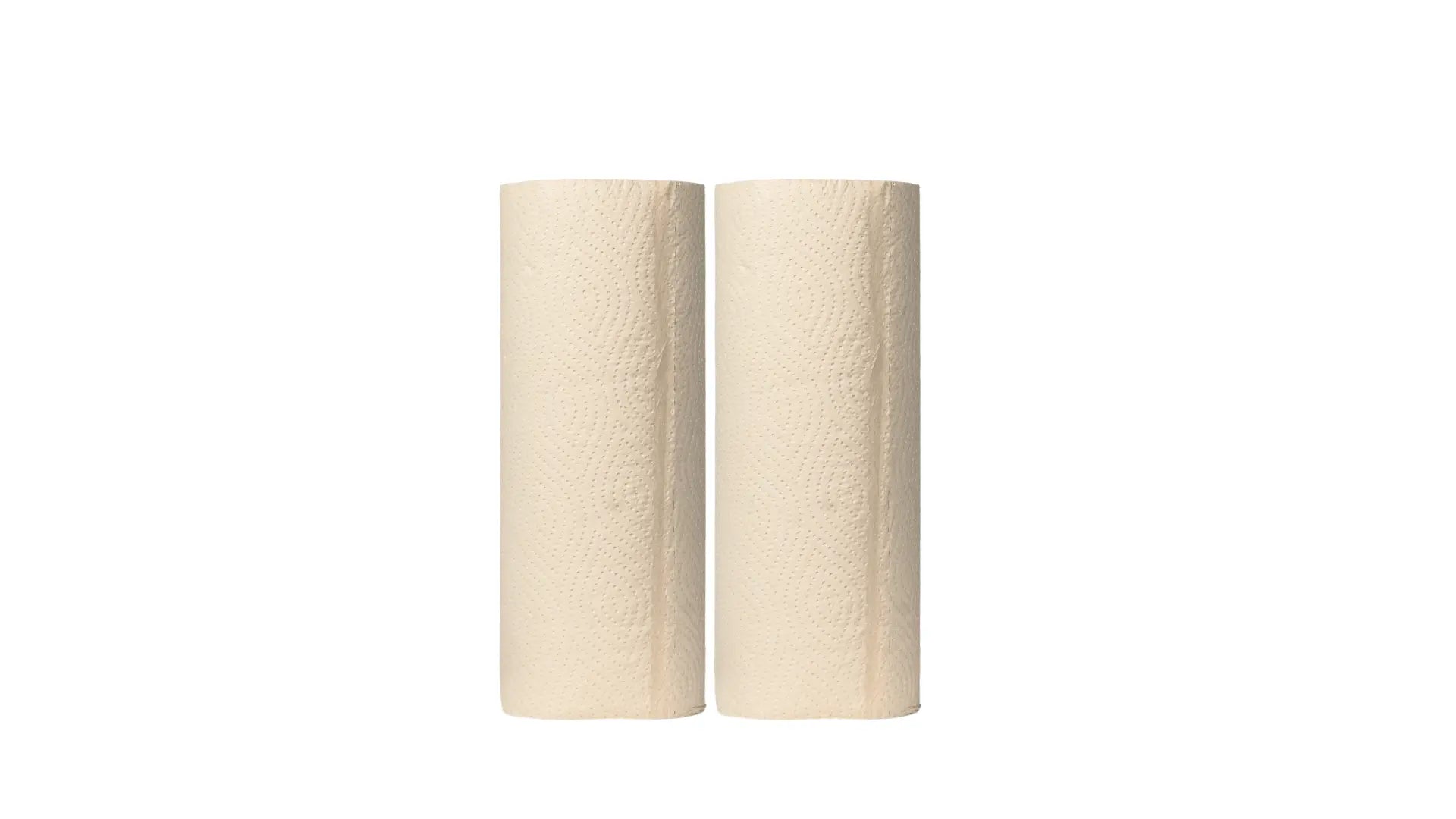 XL Bamboe Keukenrollen 2 - Laags, 120 Vellen (2 Rollen = 4 Rollen) - Babo Bambo