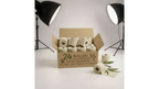 Bamboe Toilet Paper, 3 - ply, 200 sheets (24 rolls = 48 standard rolls) (24 × 200 = 4,800 sheets) - Babo Bambo