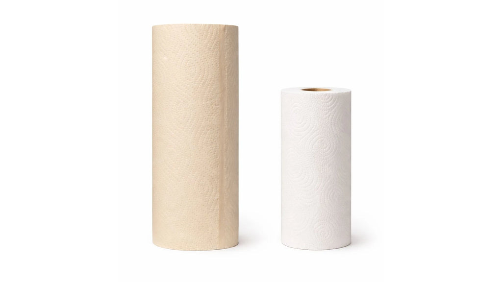 XL Bamboe Kitchen Rolls, 2 - ply, 120 sheets (4 rolls = 8 standard rolls) (4 × 120 = 480 sheets) - Babo Bambo