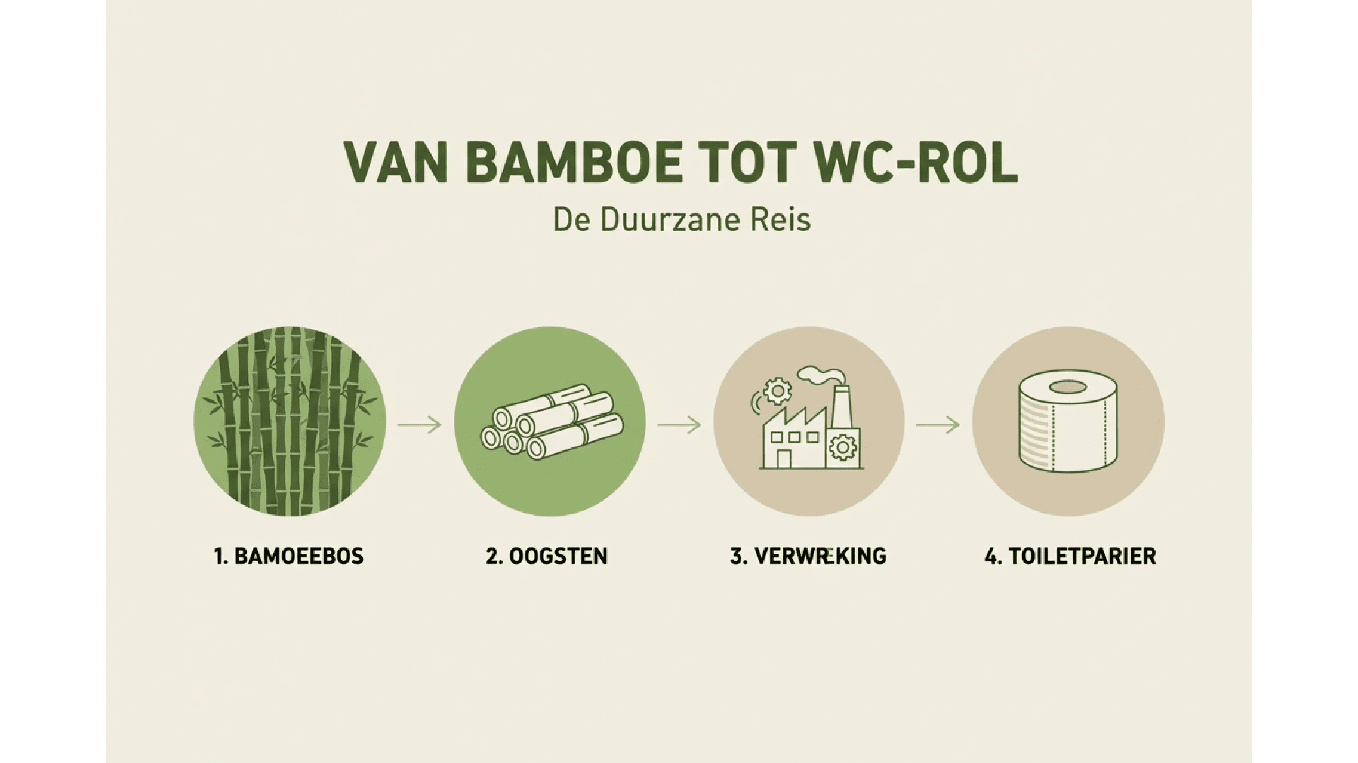 Bamboe Toilet Paper, 3 - ply, 200 sheets (4 rolls = 8 standard rolls) (4 × 200 = 800 sheets) - Babo Bambo